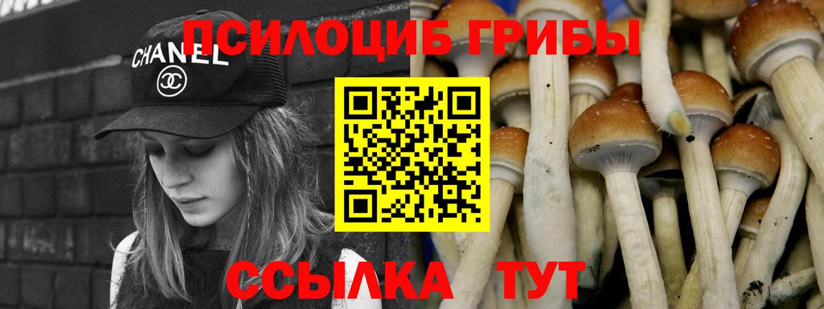 Псилоцибиновые грибы мухоморы  Вход с VPN  Нижневартовск 